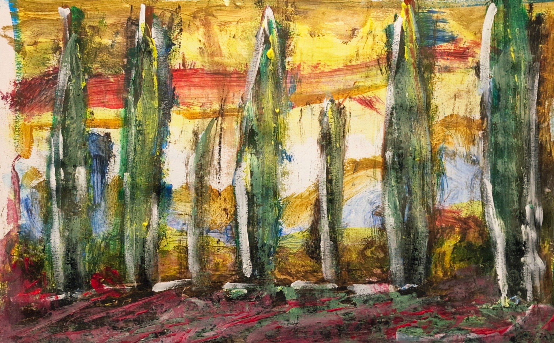 Cypresses in Tuscany